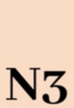 Load image into Gallery viewer, Dual Powder Foundation