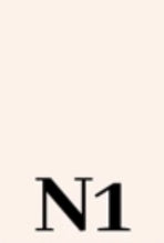 Load image into Gallery viewer, Dual Powder Foundation